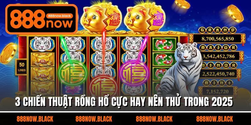 3 chiến thuật rồng hổ cực hay nên thử trong 2025