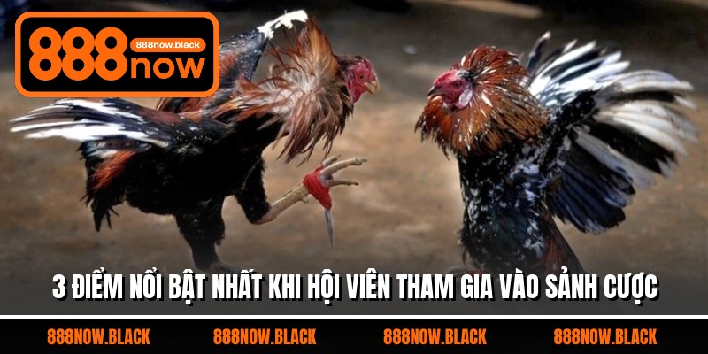 3 điểm nổi bật nhất khi hội viên tham gia vào sảnh cược