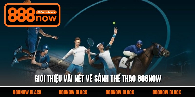 Giới thiệu vài nét về sảnh thể thao 888now