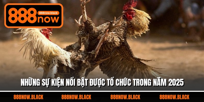 Những sự kiện nổi bật được tổ chức trong năm 2025